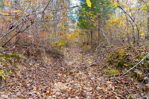 Tiny photo for 000 Hwy JJ (Tract 10), Marquand, MO 63655 (MLS # 26030384)