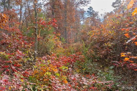 Tiny photo for 000 Hwy JJ (Tract 10), Marquand, MO 63655 (MLS # 26030384)