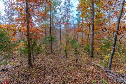 Tiny photo for 000 Hwy JJ (Tract 10), Marquand, MO 63655 (MLS # 26030384)