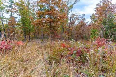 Tiny photo for 000 Hwy JJ (Tract 10), Marquand, MO 63655 (MLS # 26030384)