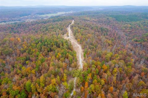 Tiny photo for 000 Hwy JJ (Tract 10), Marquand, MO 63655 (MLS # 26030384)