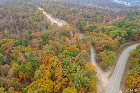 Tiny photo for 000 Hwy JJ (Tract 10), Marquand, MO 63655 (MLS # 26030384)