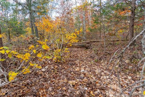 Tiny photo for 000 Hwy JJ (Tract 10), Marquand, MO 63655 (MLS # 26030384)