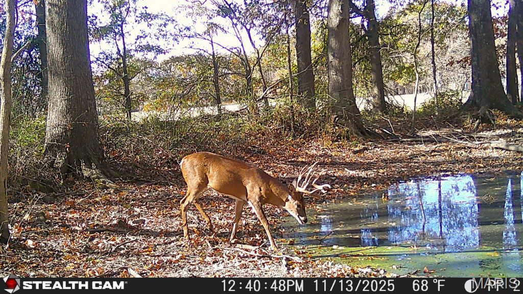 000 State Highway 184