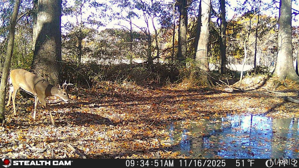 000 State Highway 184