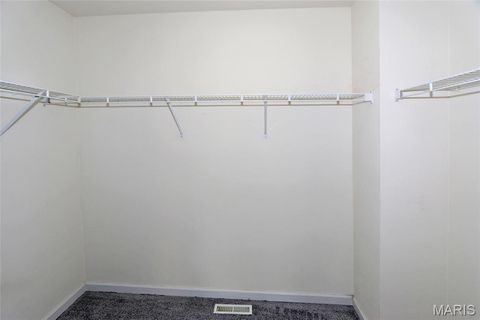 Tiny photo for 204 Jacobs Way WAY, St Peters, MO 63376 (MLS # 26030014)