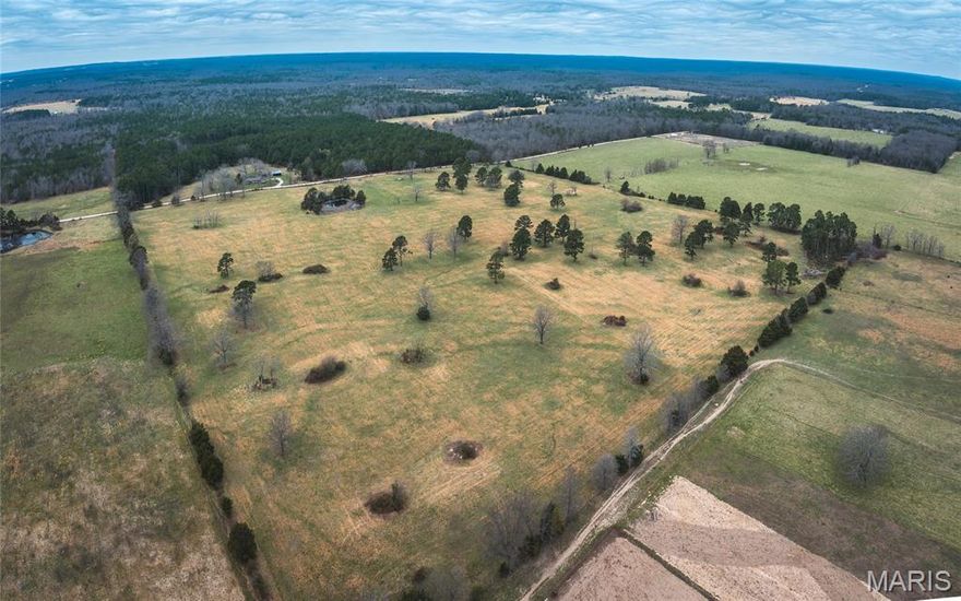 40 m/l acres in Texas County set up and ready for agricultural use, featuring mostly open pasture ideal for running cattle or other livestock. The property is perimeter fenced and includes a pond, providing a reliable water source for your operation.

Scattered throughout the acreage is a beautiful stand of mature pine trees, offering natural shade for livestock while adding character and privacy—making it an ideal setting for a future homesite.

The area is known for a strong population of deer and turkey, and this property offers excellent habitat with a combination of open ground and scattered timber, making it just as appealing for hunting as it is for farming.

Located approximately 30 minutes from the Current River, you’ll have quick access to some of the best fishing and floating in the region, along with nearby destinations like Echo Bluff State Park and Montauk State Park. This part of Missouri also offers a large amount of public land access, providing endless opportunities for hunting, hiking, and outdoor recreation.

A well-rounded property combining strong agricultural potential, excellent building sites, and outstanding recreational appeal.