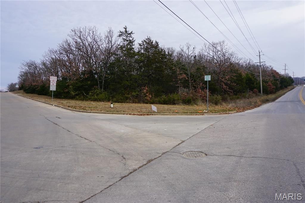 Photo of 0 McCutchen Drive, Rolla, MO 65401 (MLS # 25079909)