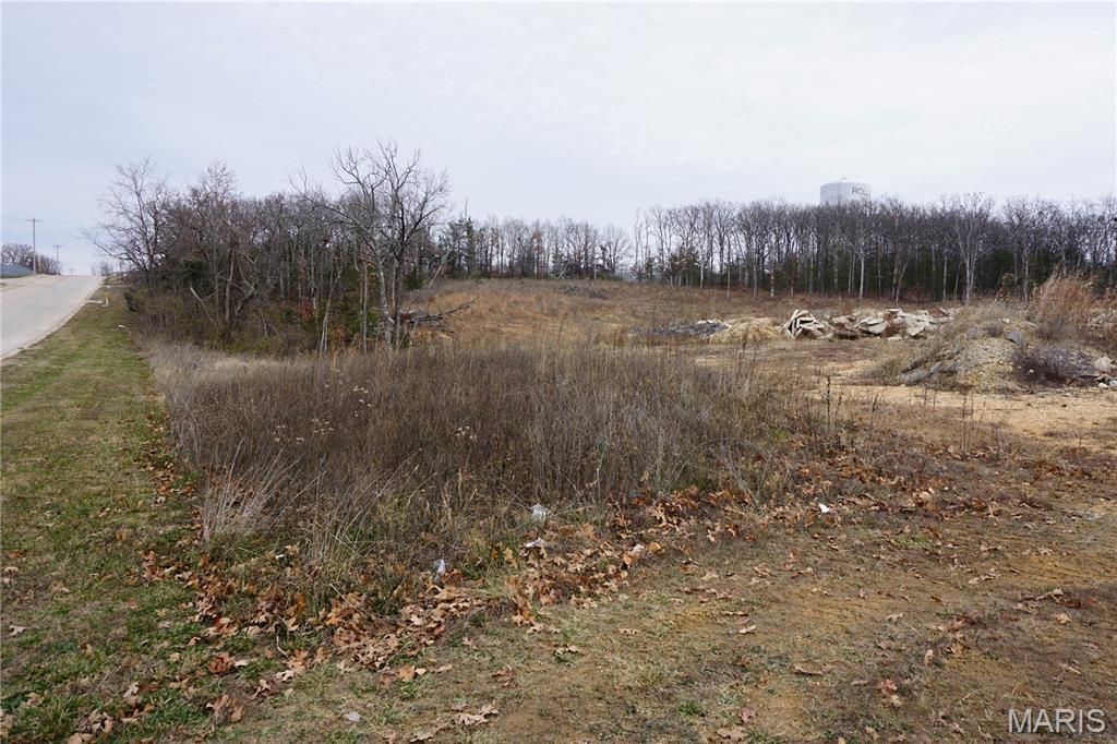 Photo of 0 McCutchen Drive, Rolla, MO 65401 (MLS # 25079909)