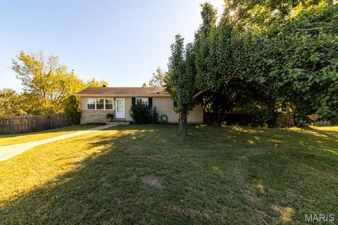 330 Kronos Drive De Soto MO 63020