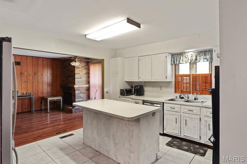 Tiny photo for 3929 Hirondelle Lane, Florissant, MO 63034 (MLS # 25069415)