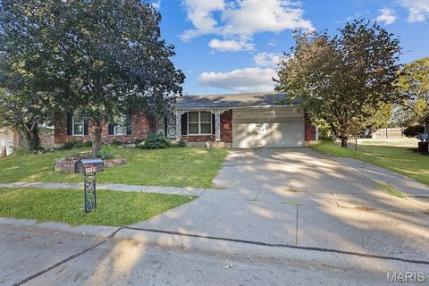 Tiny photo for 3929 Hirondelle Lane, Florissant, MO 63034 (MLS # 25069415)