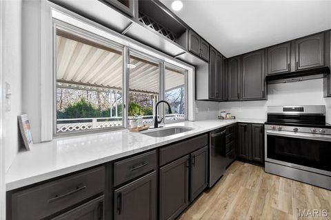 Tiny photo for 370 Marywood Court, Ballwin, MO 63021 (MLS # 26019806)