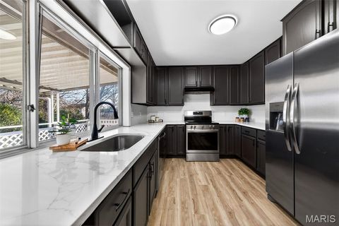 Tiny photo for 370 Marywood Court, Ballwin, MO 63021 (MLS # 26019806)