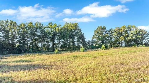 Tiny photo for 000 Cave Farm Road, Troy, MO 63379 (MLS # 25077116)
