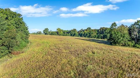 Tiny photo for 000 Cave Farm Road, Troy, MO 63379 (MLS # 25077116)