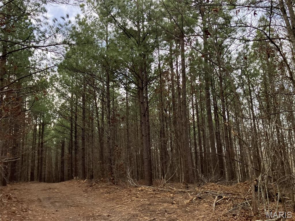 Cherokee Pass - Land