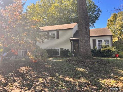 Photo of 1137 N Harrison Avenue, Kirkwood, MO 63122 (MLS # 25073553)