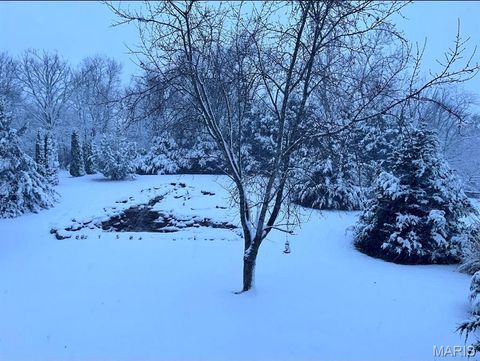 Tiny photo for 253 Whitetail Crossing Drive, Troy, MO 63379 (MLS # 25071036)