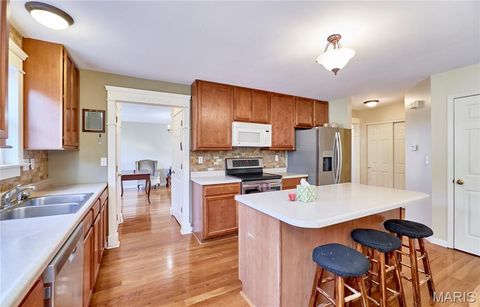 Tiny photo for 253 Whitetail Crossing Drive, Troy, MO 63379 (MLS # 25071036)