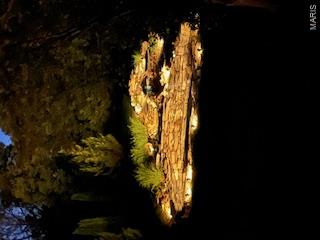 Whitetail Crossing - Residential