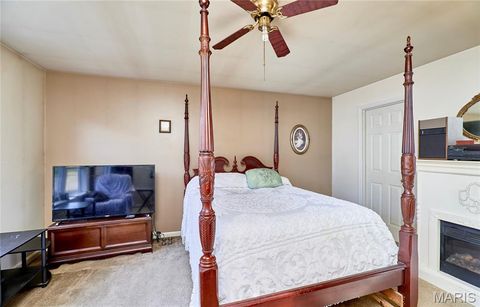 Tiny photo for 253 Whitetail Crossing Drive, Troy, MO 63379 (MLS # 25071036)