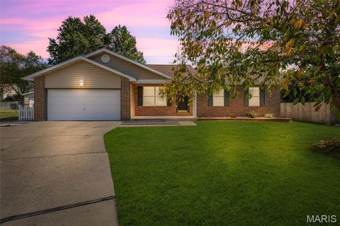 1020 Parc Central Drive Festus MO 63028