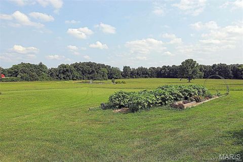 Tiny photo for 11269 State Highway C, Belgrade, MO 63622 (MLS # 26026503)