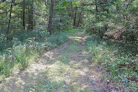 Tiny photo for 11269 State Highway C, Belgrade, MO 63622 (MLS # 26026503)