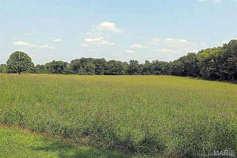Tiny photo for 11269 State Highway C, Belgrade, MO 63622 (MLS # 26026503)
