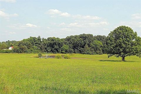 Tiny photo for 11269 State Highway C, Belgrade, MO 63622 (MLS # 26026503)