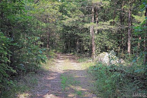 Tiny photo for 11269 State Highway C, Belgrade, MO 63622 (MLS # 26026503)