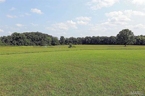 Tiny photo for 11269 State Highway C, Belgrade, MO 63622 (MLS # 26026503)