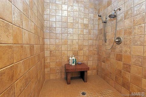 Tiny photo for 11269 State Highway C, Belgrade, MO 63622 (MLS # 26026503)