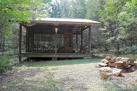 Tiny photo for 11269 State Highway C, Belgrade, MO 63622 (MLS # 26026503)