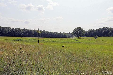 Tiny photo for 11269 State Highway C, Belgrade, MO 63622 (MLS # 26026503)