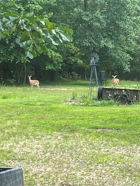 Tiny photo for 1520 Madison 9346, Other, MO 63964 (MLS # 26036817)