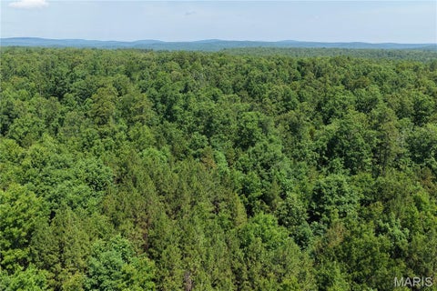 Tiny photo for 1520 Madison 9346, Other, MO 63964 (MLS # 26036817)