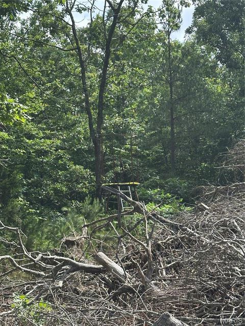 Tiny photo for 1520 Madison 9346, Other, MO 63964 (MLS # 26036817)