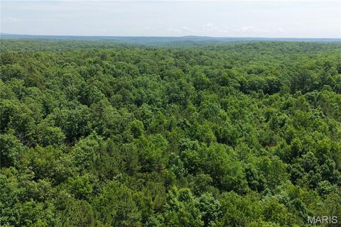 Tiny photo for 1520 Madison 9346, Other, MO 63964 (MLS # 26036817)