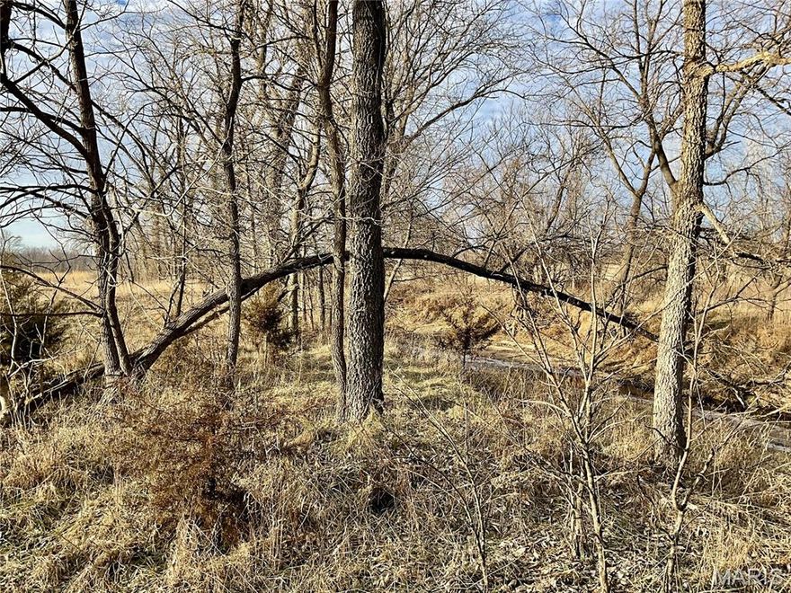 Nice Recreational Hunting Farm with Stunning Build Site in Northern Missouri. This exceptional 36.3-acre property offers the perfect balance of wildlife habitat and a breathtaking potential build site overlooking rolling countryside views that stretch for miles. Hazel and Buck Creek serve as natural corridors for whitetail deer and other wildlife, providing ideal setups for serious hunters. Multiple access points provide options for hunting with varying wind directions, as well as convenient access for food plotting and farm management. Short distance to ag operations are historically on a corn/bean/hay rotation acting as destination food sources. The property is surveyed, fully fenced, with a nice pond, and could support your cow herd and horses. A prime build site sits high on the main ridge, offering panoramic views of the surrounding landscape. An ideal location for a dream home, cabin, or weekend retreat. Utilities are available at the gravel road, including electric, rural water, and fiber optic, allowing you to enjoy modern conveniences while still surrounded by nature. Fishing, boating, and waterfowl hunting opportunities on Hazel Creek Lake are just minutes away. Whether you’re looking for a hunting property, a peaceful country getaway, or a future homesite with unmatched views, this property checks all the boxes.