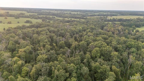 Tiny photo for 00 Indiana Lane, Perry, MO 63462 (MLS # 26051686)
