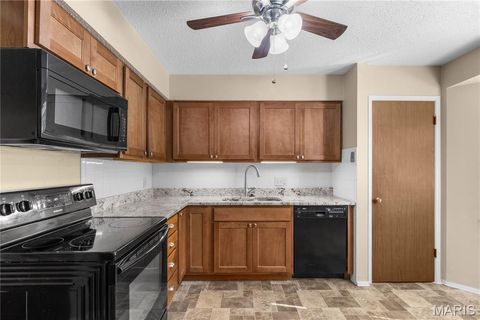 Tiny photo for 1341 Snapdragon Court, St Louis, MO 63146 (MLS # 26006433)