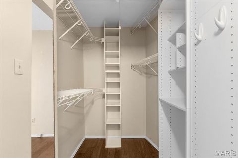 Tiny photo for 1341 Snapdragon Court, St Louis, MO 63146 (MLS # 26006433)