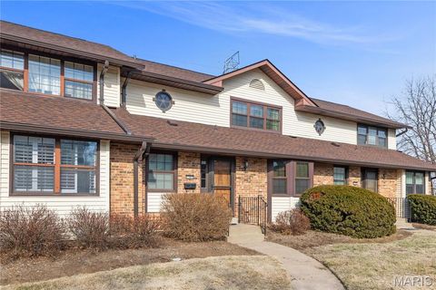 Tiny photo for 1341 Snapdragon Court, St Louis, MO 63146 (MLS # 26006433)