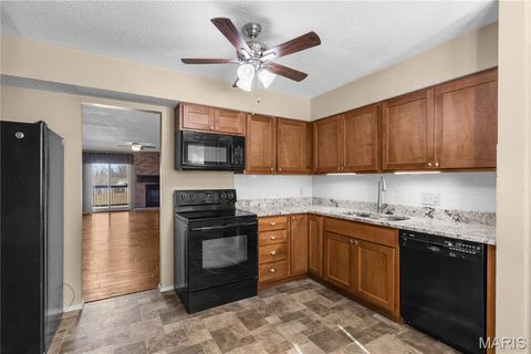 Tiny photo for 1341 Snapdragon Court, St Louis, MO 63146 (MLS # 26006433)