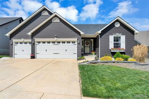 Photo of 523 Amber Way Court, Imperial, MO 63052 (MLS # 26021846)