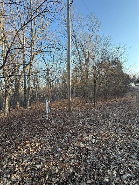 1633 Timber Bluff Trail
