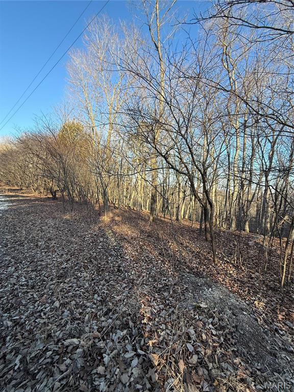 1633 Timber Bluff Trail
