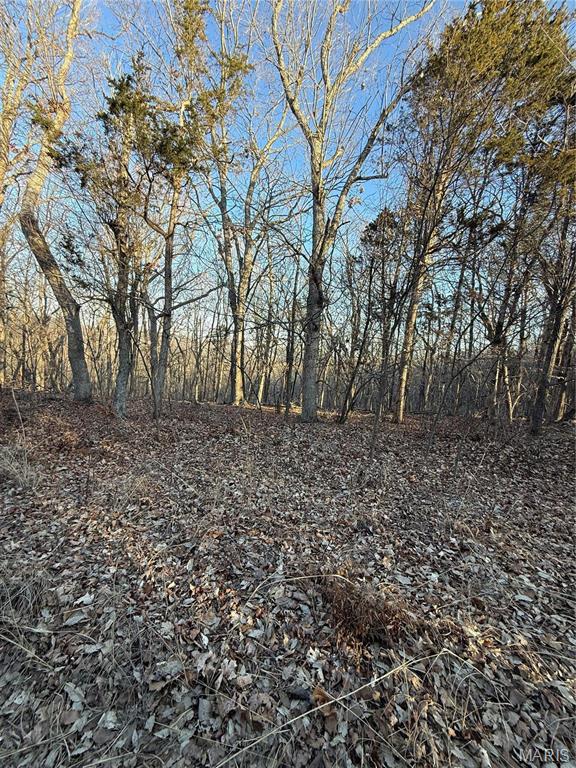 1633 Timber Bluff Trail